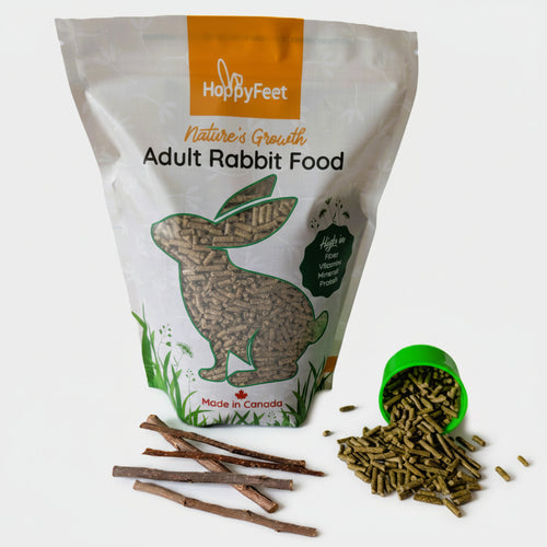 Crunchy, Tasty, Natural Adult Rabbit Food