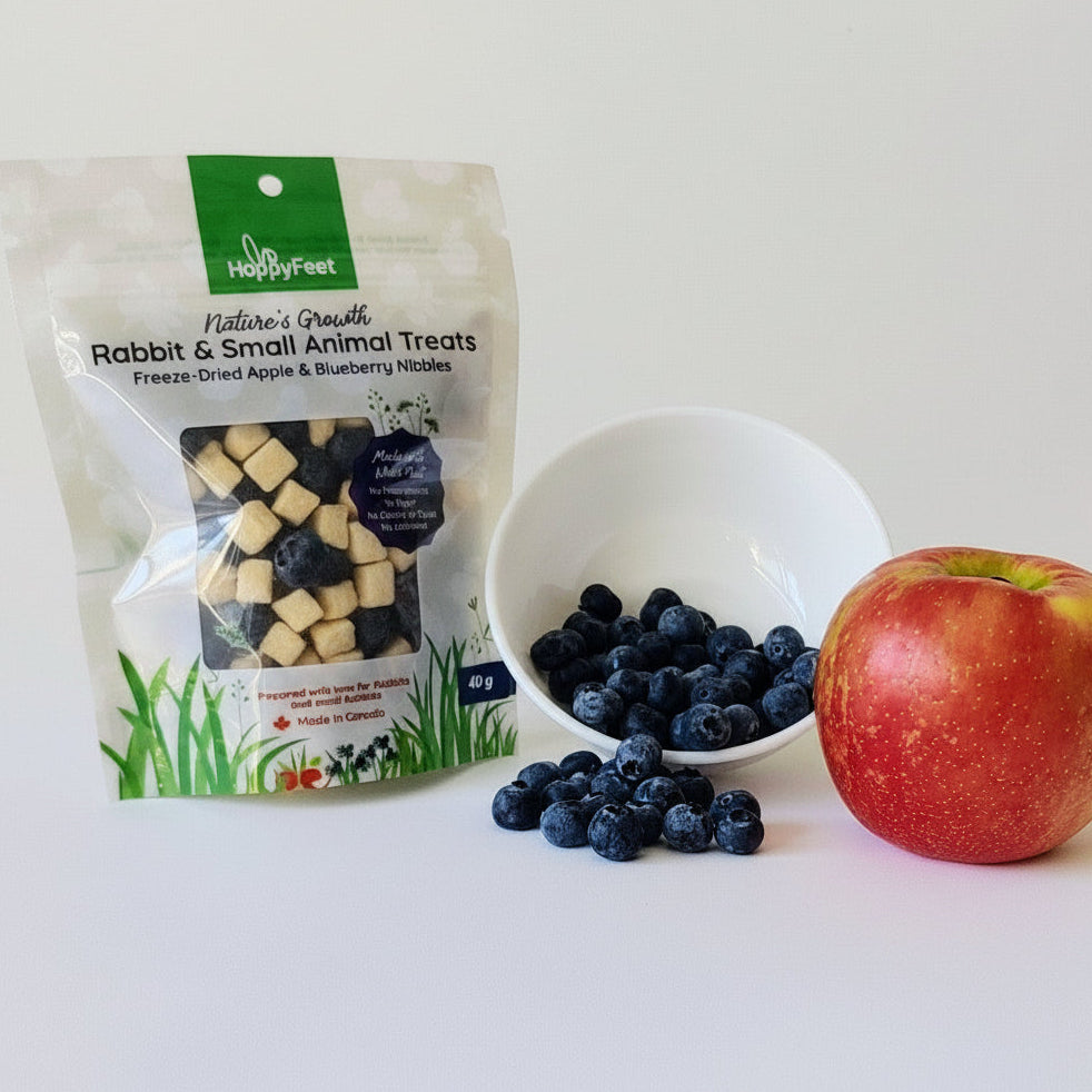 Made In Canada🍁All Natural Crunchy, Tasty Freeze Dried Apple and Blueberry Nibbles