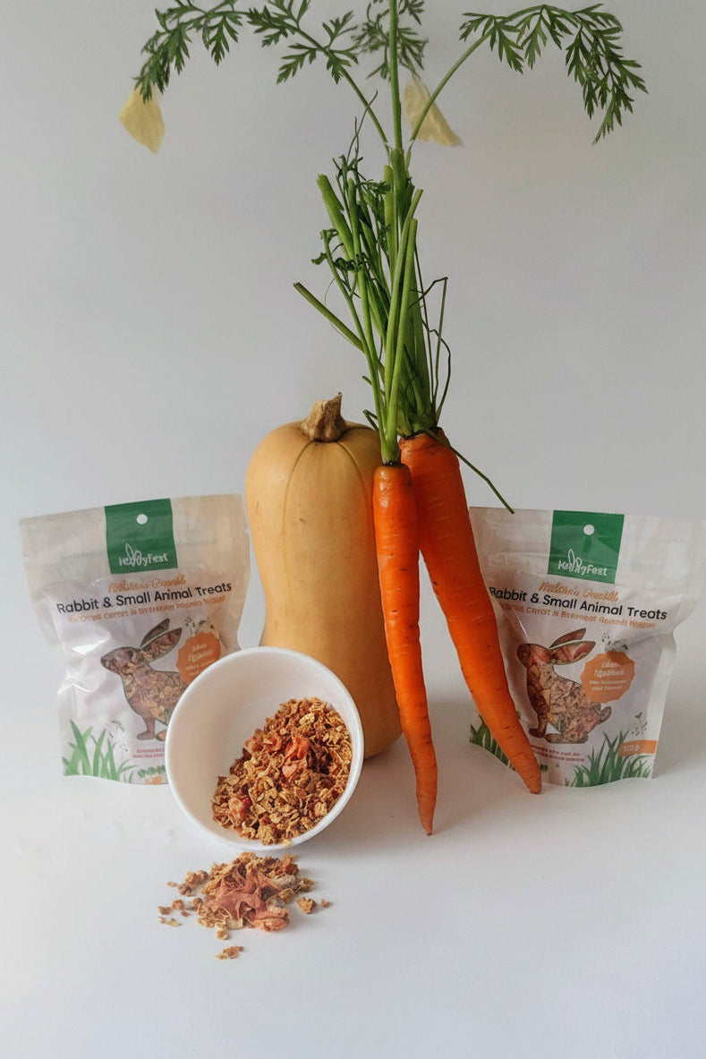 Made In Canada🍁All Natural Handmade in small batches Crunchy, Tasty Air Dried Carrots & Butternut Squash
